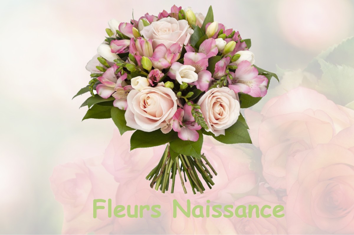 fleurs naissance VILLAUDRIC