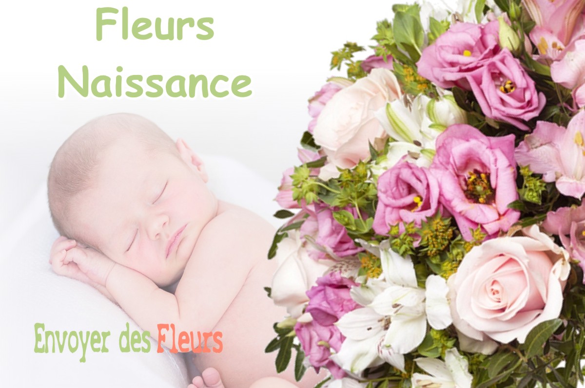 lIVRAISON FLEURS NAISSANCE à VILLAUDRIC